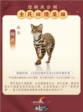 天龙八部私服广告怎么打